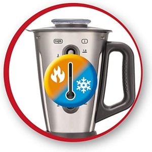 Moulinex Blender Electric Faciclic Steel